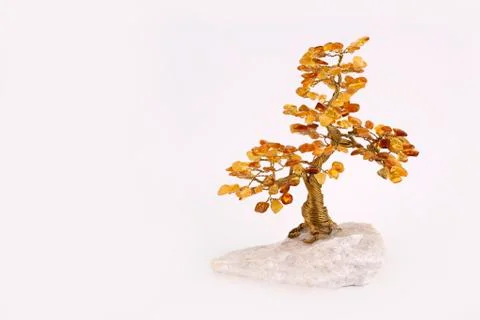Amber tree Stock Photos