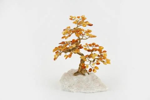 Amber tree Stock Photos