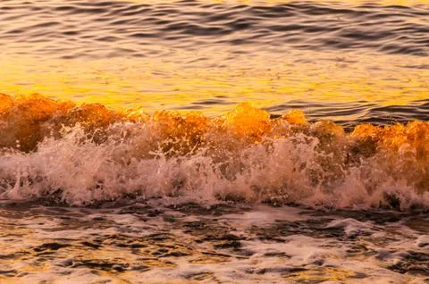 Amber Waves Stock Photos
