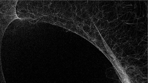 AmberBack 03f Video stock 45445154