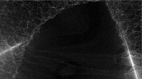 AmberBack 04f Video stock 45445753