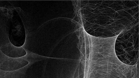 AmberBack 05f Video stock 45446471