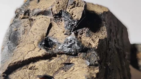 Ambergris Broken Surface with Dark Inclusions, Horizontal Close-Up Vidéo 347307510