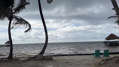 Ambergris Caye, Belize, Light Storm, Ocean, Palm Trees 1 Stock Footage 314785594
