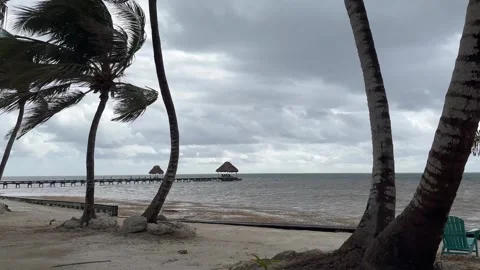 Ambergris Caye, Belize, Light Storm, Ocean, Palm Trees 2 Stock Footage 314786774