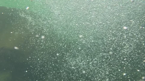Ambiance bubble tropical river Stock Footage 308650648