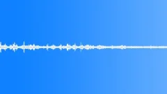 Ambiance - woodland bird songs northern Italy 01 Sound Effect