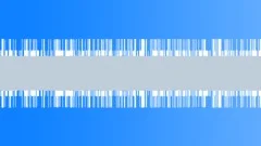 AMBIENCE - Airport Baggage Claim With Announcer's Voice On PA SystemSound Effect