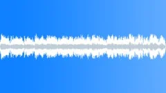 Ambience, airport in Brazil, English and PortuguesSound Effect