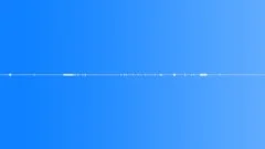 Ambience Backgrounds Birds Ext Medium Light Songbirds Occasional Wind Gusts WitSound Effect