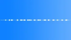 Ambience Backgrounds Butano Forest Ambiance With Birds Fairly Active Various Bi Sound Effect