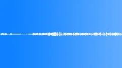 Ambience Backgrounds Costa Rica Jungle Exterior Afternoon Close Up Vulture WingSound Effect