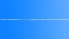 Ambience Backgrounds Costa Rica Jungle Early Morning Variety of Birds Cicadas ISound Effect