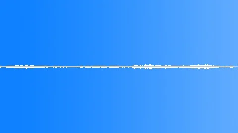 Ambience Backgrounds Echo Park LA City Ambiance Exterior Medium Close Up Birds Sound Effect