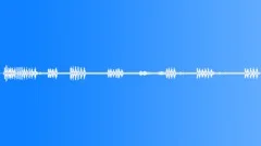 Ambience Backgrounds Forest Ambience With Crow Ext Quiet Bg With Airy Rush Medi Sound Effect