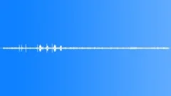 Ambience Backgrounds Forest Ambience Ext Various Birds Cows in Distance Plane P Sound Effect