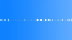 Ambience Backgrounds Forest Ambience With Raven Ext Quiet Very Light Wind In TrSound Effect