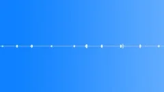 Ambience Backgrounds Forest Ambience With Whippoorwills Ext Early Morning SteadSound Effect