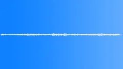 Ambience Backgrounds Lake Ambience With Water Laps Ext Medium Close Up Crow Lig Sound Effect