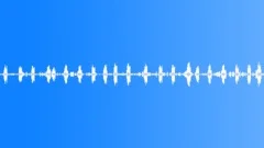 Ambience Backgrounds Suburban Park Forest Birds & Light Insects Ext Daytime Clo Sound Effect