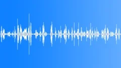 Ambience, Bird Whistling, 2Sound Effect
