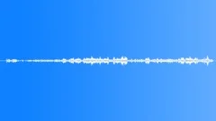 Ambience, Bird Whistling, 3Sound Effect