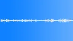 Ambience, distant birds by lake, some wind, waterSound Effect