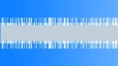 Ambience forest birds wind trees Sound Effect