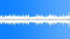 AMBIENCE MELBOURNE BUSKERA GUITAR SINGING02 STEREOSound Effect