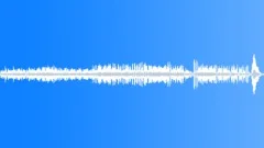 AMBIENCE MELBOURNE CHINESE NEW YEAR FIREWORKS DRUMS STEREOSound Effect