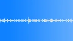 Ambience of mountain lake. Waves and Ruddy shelduck Sound Effect