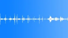 AMBIENCE OSOROSAN BIRDS INSECTS SUMMER LOOP Sound Effect