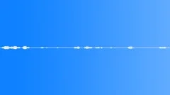 Ambience, Rural, Crickets, Wind in Trees, Birds 01 Sound Effect