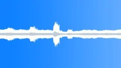 AMBIENCE TAKAO SUMMER INSECTS LOOP STEREO Sound Effect