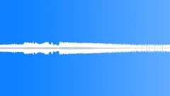 AMBIENCE TOKYO SUMMER INSECTS CICADAS02 LOOP02 STEREO Sound Effect