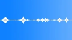 Ambience - traffic night - Maribor Slovenia - 01 Sound Effect