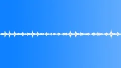 Ambience_public beach_Newborough Warren_02 Sound Effect