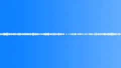 Ambience_reedbed with reed warbler and song thrush_01Sound Effect