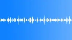 Ambience_reedbed song thrush_01Sound Effect