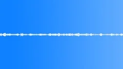 Ambience_reedbed with spring birdsong_01Sound Effect