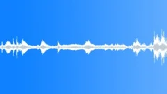 Ambience_seashore bull bay_02 Sound Effect