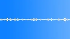 Ambience_seashore Bull Bay_13Sound Effect