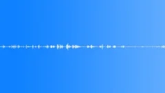 Ambient Fireworks - Bangs, Whistles and FizzesSound Effect