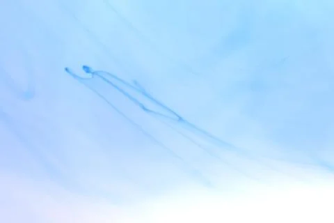 Ambient Ink Drop Motion Dynamic. Soft Background. Stock Photos
