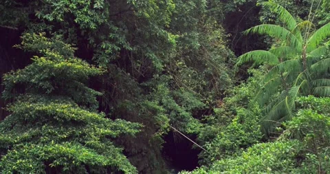 Ambient Jungle River Flow with Clear Water and Rocks Aerial Shot 스톡 동영상 332415915