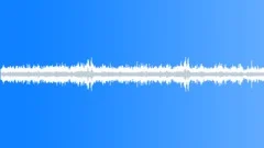 Ambient sound of a big city, call of doves, pigeonsSound Effect