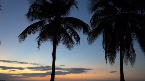 Ambient sounds of a beach at sunset Stock Footage 105871668