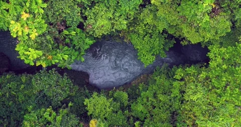 Ambient Tropical River Flow Through Jungle Canyon Forest Aerial Vídeos de archivo 332490056