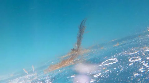 Ambient Underwater - Abstract Stock Footage 174878696