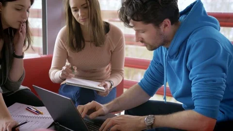 Ambitious and interested students collaborating on a common task Stock Footage 75554644